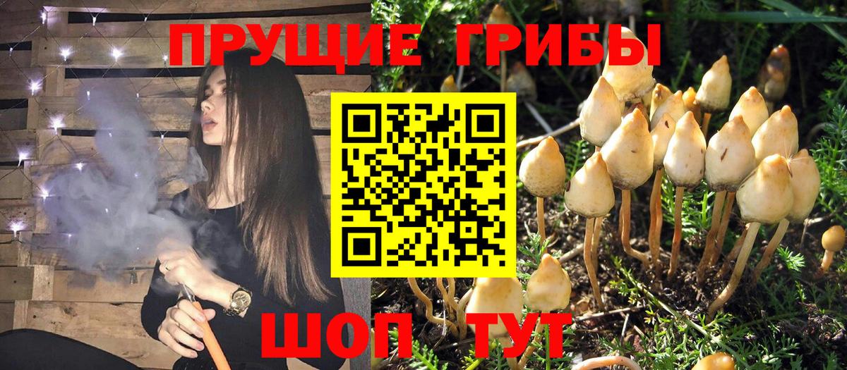 Псилоцибиновые грибы MAGIC MUSHROOMS Сегежа