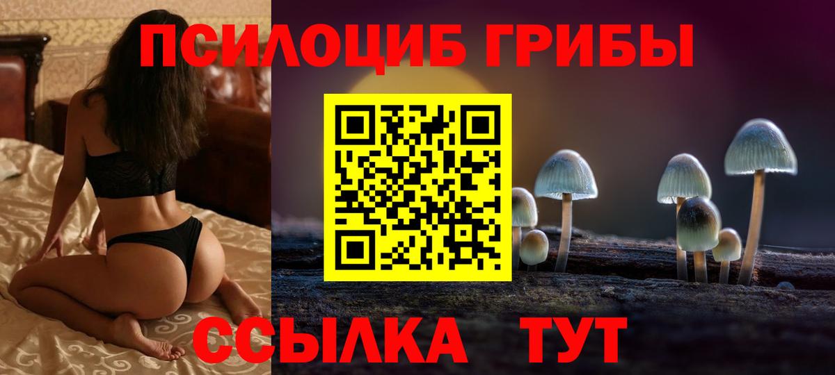 МЕФ Сегежа